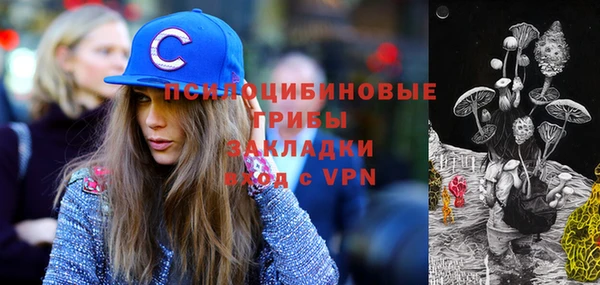 винт Армянск