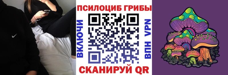 Галлюциногенные грибы GOLDEN TEACHER  Купить закладки  Ядрин 